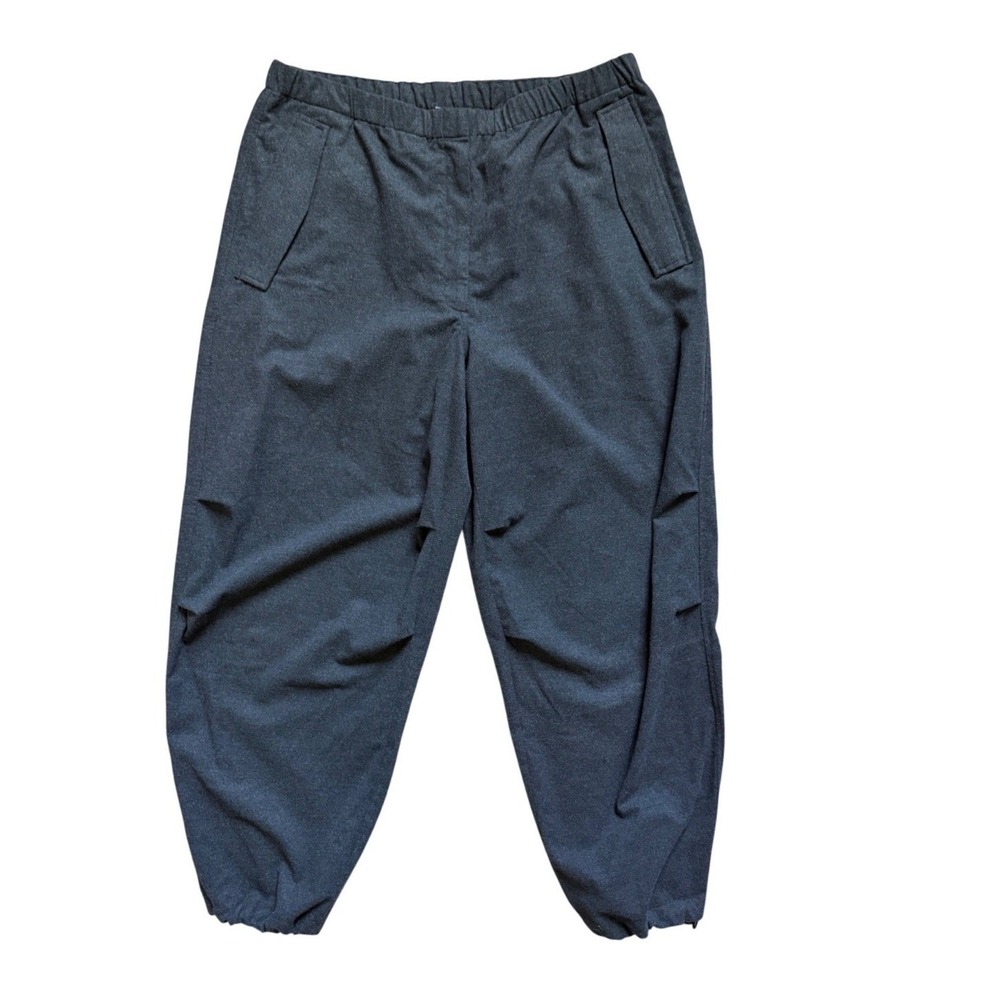The Group Babaton Pants Womens Medium Charcoal Gray Elastic Waist Tapered RLIA